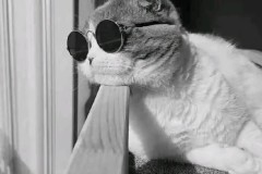 赫拉芬贝赫的关键时刻：4次传球助利物浦1-0小胜伯恩利，最佳球员的背后故事